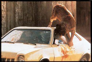 Cujo still 5
