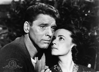 The Train still 5