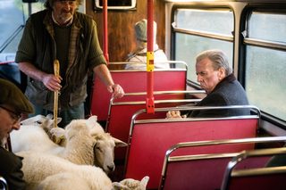 The Last Bus still 7