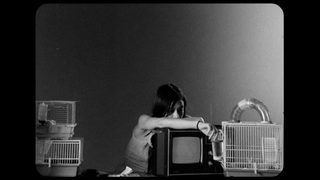 Letters to Paul Morrissey still 2