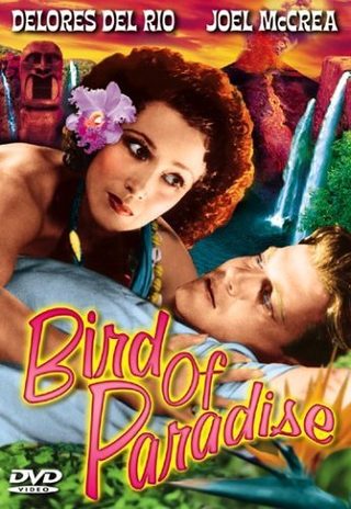 Bird of Paradise still 4