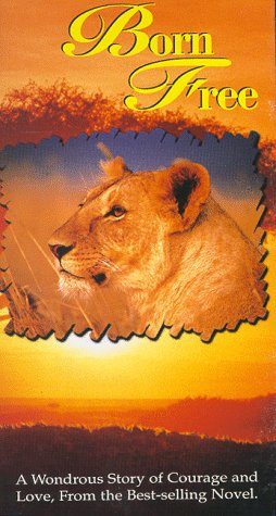 Born Free still 8