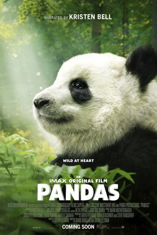Pandas still 2