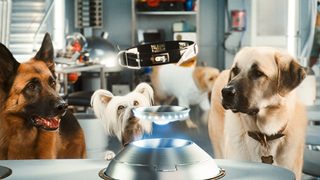 Cats & Dogs: The Revenge of Kitty Galore still 5