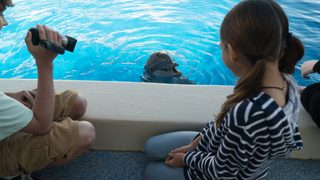 Bernie the Dolphin still 6
