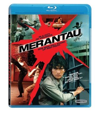 Merantau still 2