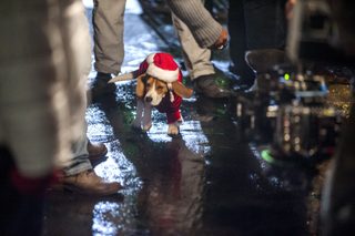 Christmas Under Wraps still 5