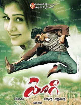 Yogi still 5