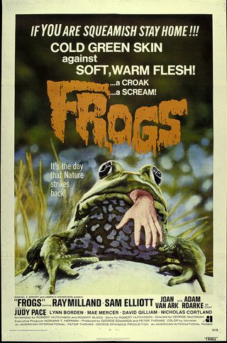 Frogs still 8