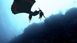 Mermaids: The Body Found still 5