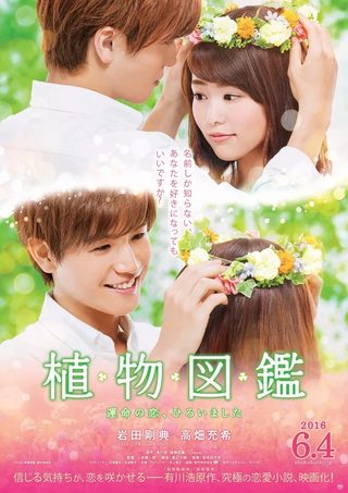 Evergreen Love still 3