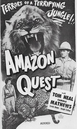 Amazon Quest still 4