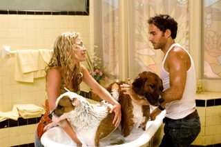 Beverly Hills Chihuahua still 2