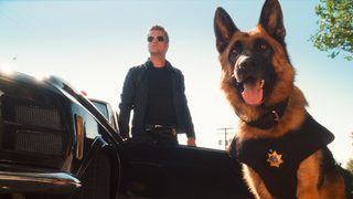 Cats & Dogs: The Revenge of Kitty Galore still 2