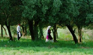Through the Olive Trees still 5