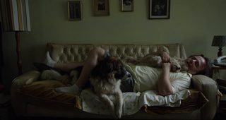 Seven Dogs still 5