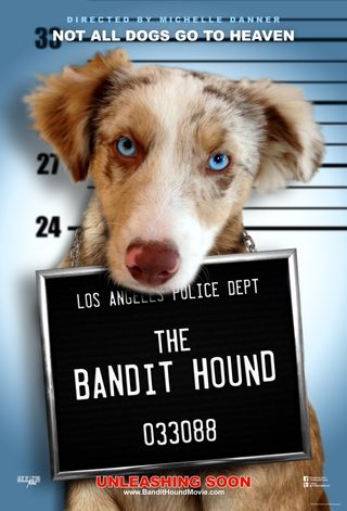 The Bandit Hound still 2