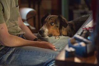 Rescued by Ruby still 6