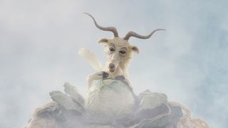Even Mice Belong in Heaven still 4