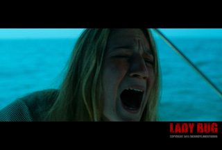 Lady Bug still 3