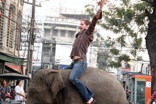 The Elephant King still 1