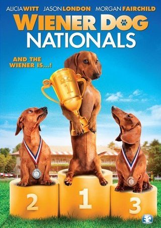 Wiener Dog Nationals still 4