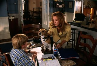 Cats & Dogs still 2