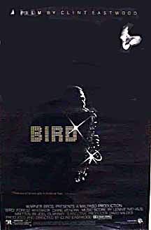 Bird still 1