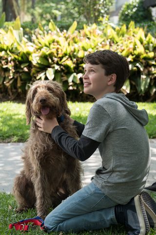 Think Like a Dog still 6