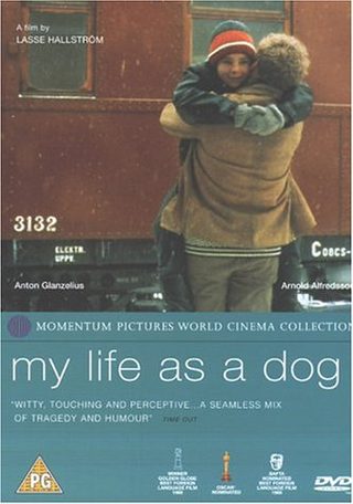 My Life as a Dog still 7