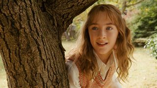 The Lovely Bones still 4