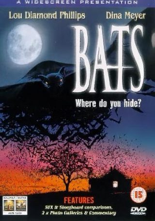 Bats still 4