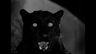 The Leopard Man still 7