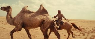 Celestial Camel still 2