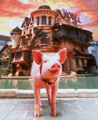 Babe: Pig in the City still 6