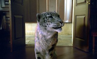 The Golden Compass still 8