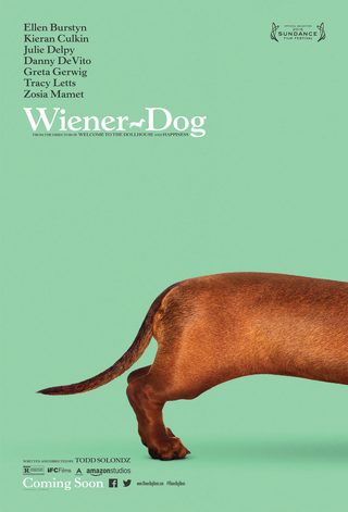 Wiener-Dog still 6
