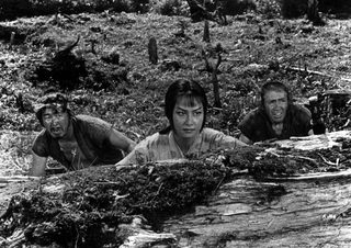 The Hidden Fortress still 4