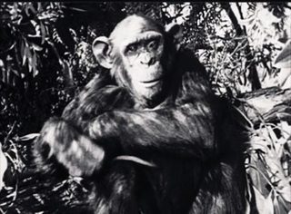 The New Adventures of Tarzan still 1