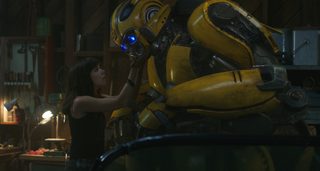 Bumblebee still 3