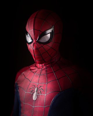Spider-Man: Lotus still 4