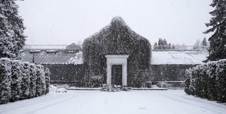The Winter Garden’s Tale still 1