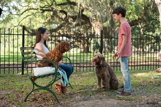 Think Like a Dog still 3