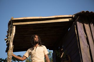 Yardie still 8