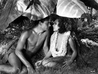 Bird of Paradise still 6