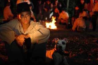 Dog Jack still 4