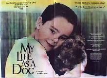 My Life as a Dog still 4