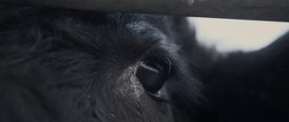 I Could Never Go Vegan still 8
