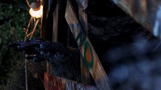 Big Freaking Rat still 6