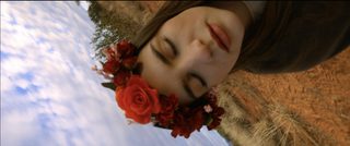 Reflect still 8